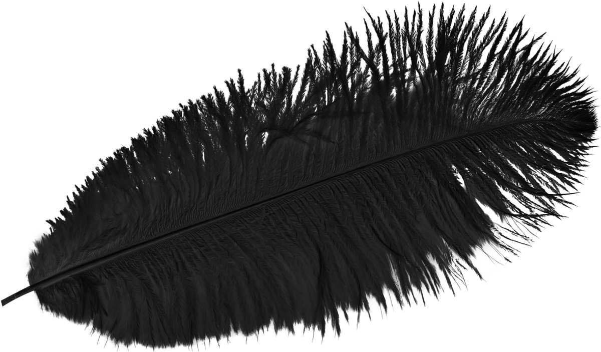 Struisvogelveren Decoratie Zwarte Veren 32-35cm 4 st, 4 Stück