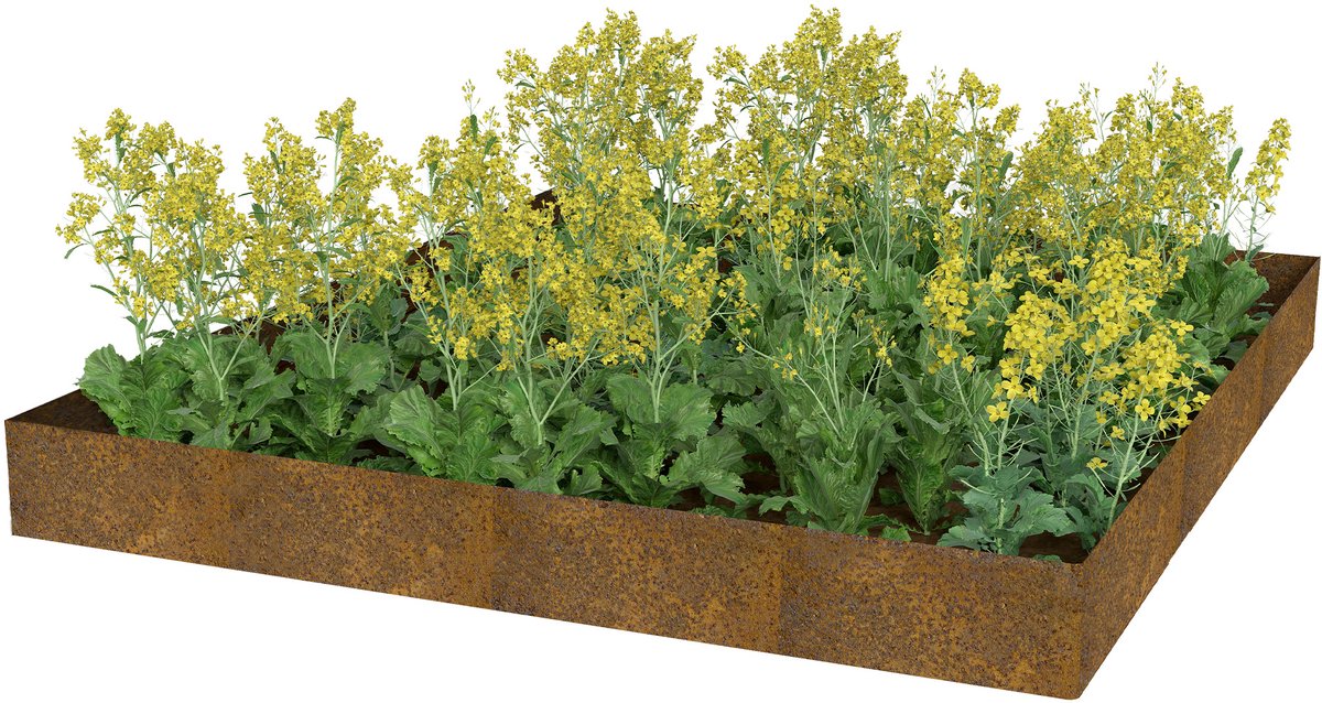 ACXIN Rasenkante - Metalen Beetumranding - Flexibel voor Tuin en Bloembedden - Roestkleur - Rechte Vorm - 10 m