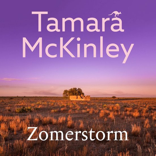 Zomerstorm - cover