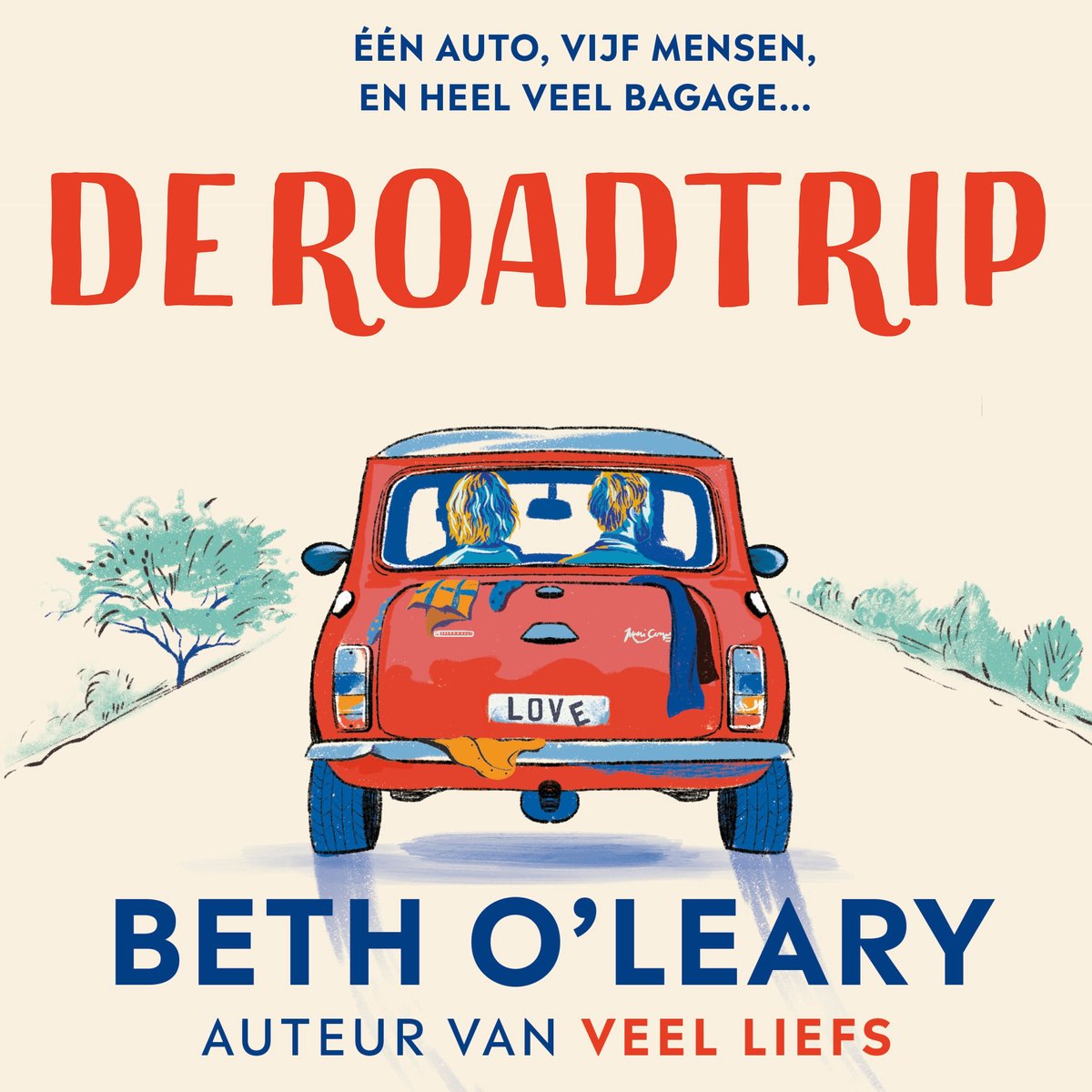 Omslag van De roadtrip