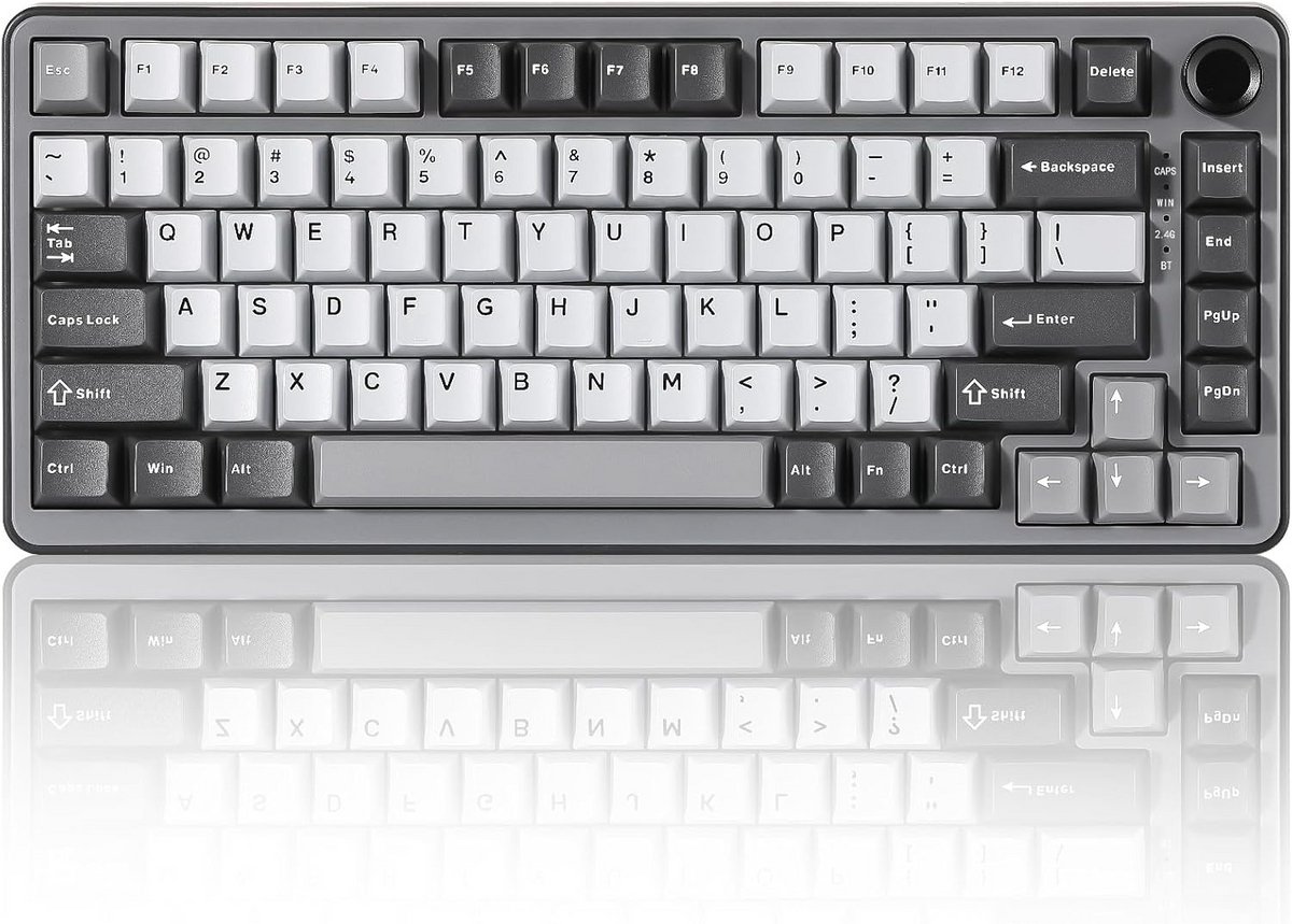 Draadloze Mechanische Toetsenbord met 75% Layout en Hot Swap Functie - RGB Verlicht