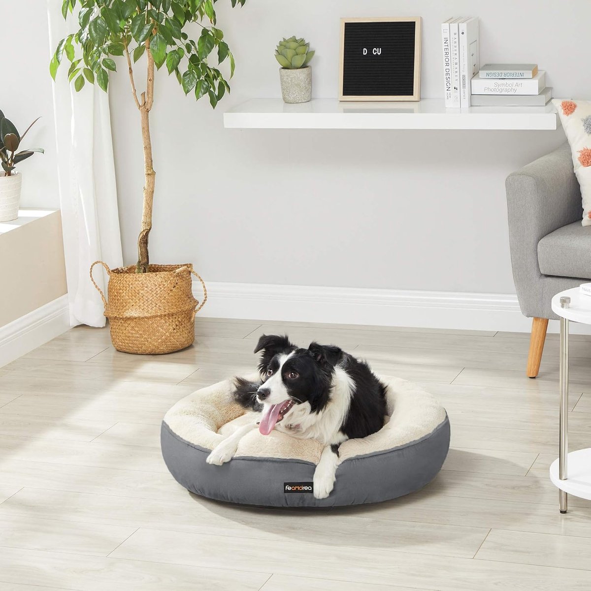 Hondenbed - Dierenbed - Hondenmatras - Orthopedisch Hondenbed - Waterdicht Hondenbed - Verwarmd Hondenbed - Donut Hondenbed - Cave Hondenbed - Extra groot Hondenbed - Donkergrijs - 70 x 18 cm (Ø x H) thumbnail 5