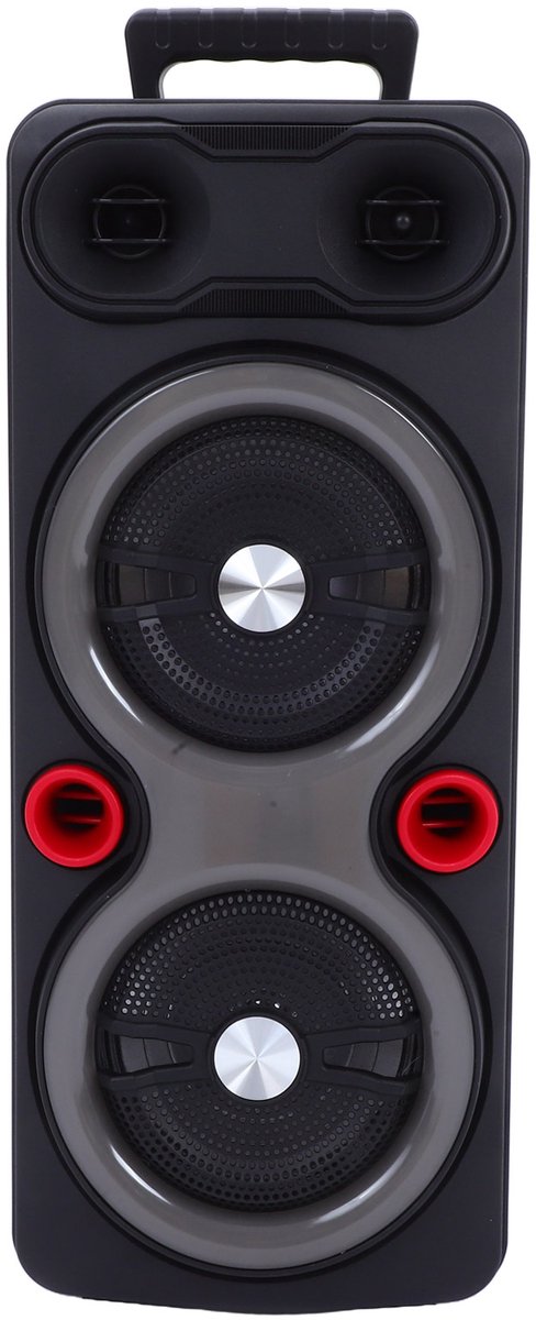 Draagbare Outdoor Speaker - 2x 6.5" Bas, RGB Verlichting, TWS, Karaoke Microfoon - Zwart