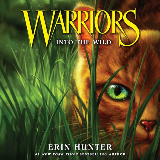 Warriors- Into the Wild - cover