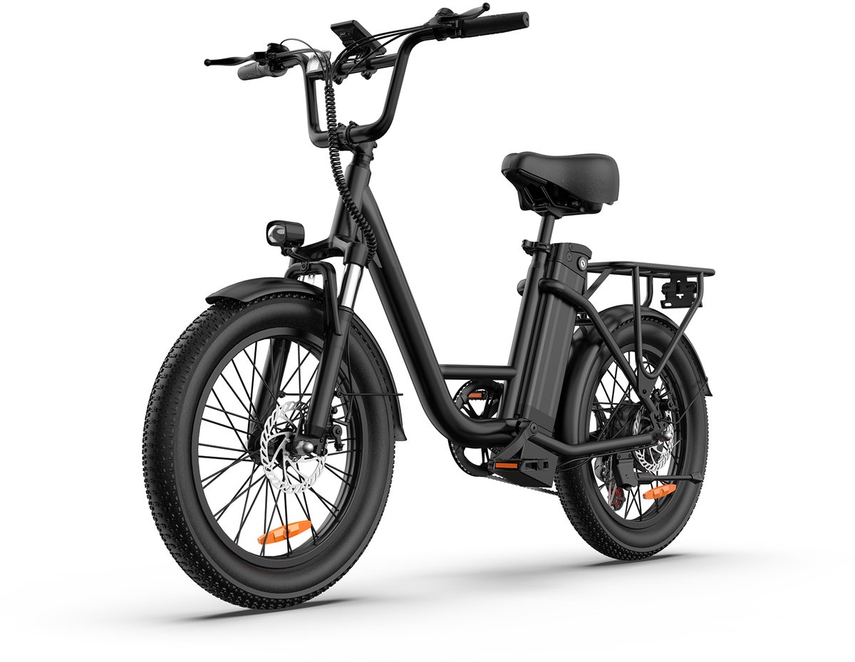 20 inch Elektrische fiets(155-195 cm) - 48V 13Ah Verwisselbare Accu tot 100KM -250 W motor - 20inch - LCD Scherm - 25 km/u - 7 Versnellingen - Elektrische Fietsen voor Heren en Dames - Groente Zwart