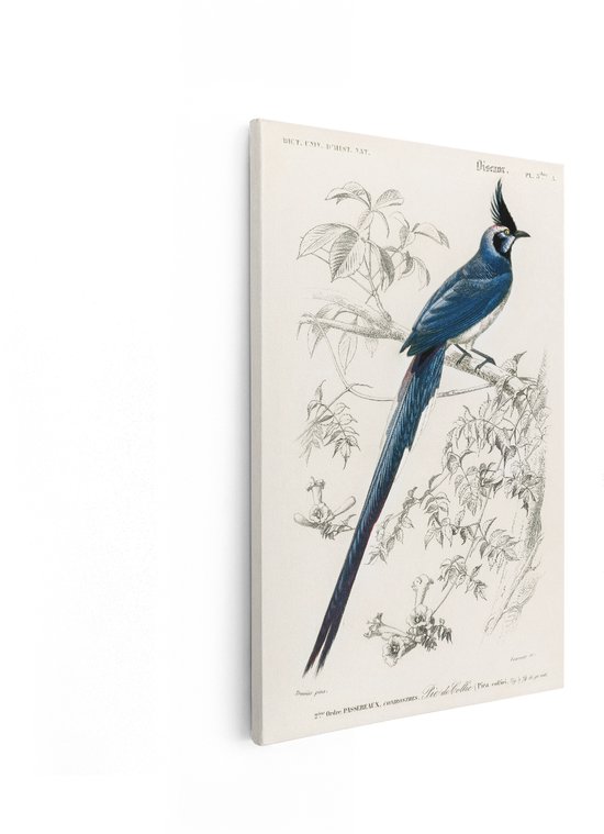 Artaza Canvas Schilderij Vogel - 20x30 cm - Wanddecoratie Blauwe Ekster - Muurdecoratie Vintage - Schilderijen Dieren - Blauw