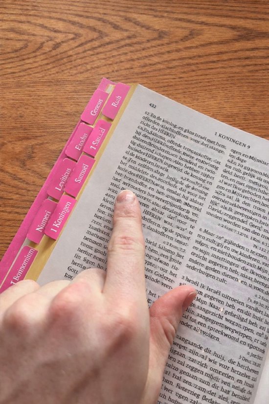 Autocollant d'onglet Bijbel Néerlandais Rose