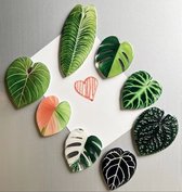 TLVX 8 stuks Groene 3D Bladeren Magneten / Leuke Koelkastmagneten / Foto Magneet / Herfst / Whiteboard / Speel- en Leer / Boom Magneten / Natuur / School / Boodschappenlijst / Notitie / Memo bord / Kantoor / Schoolbord / Magnetisch / Kleur Magneetjes