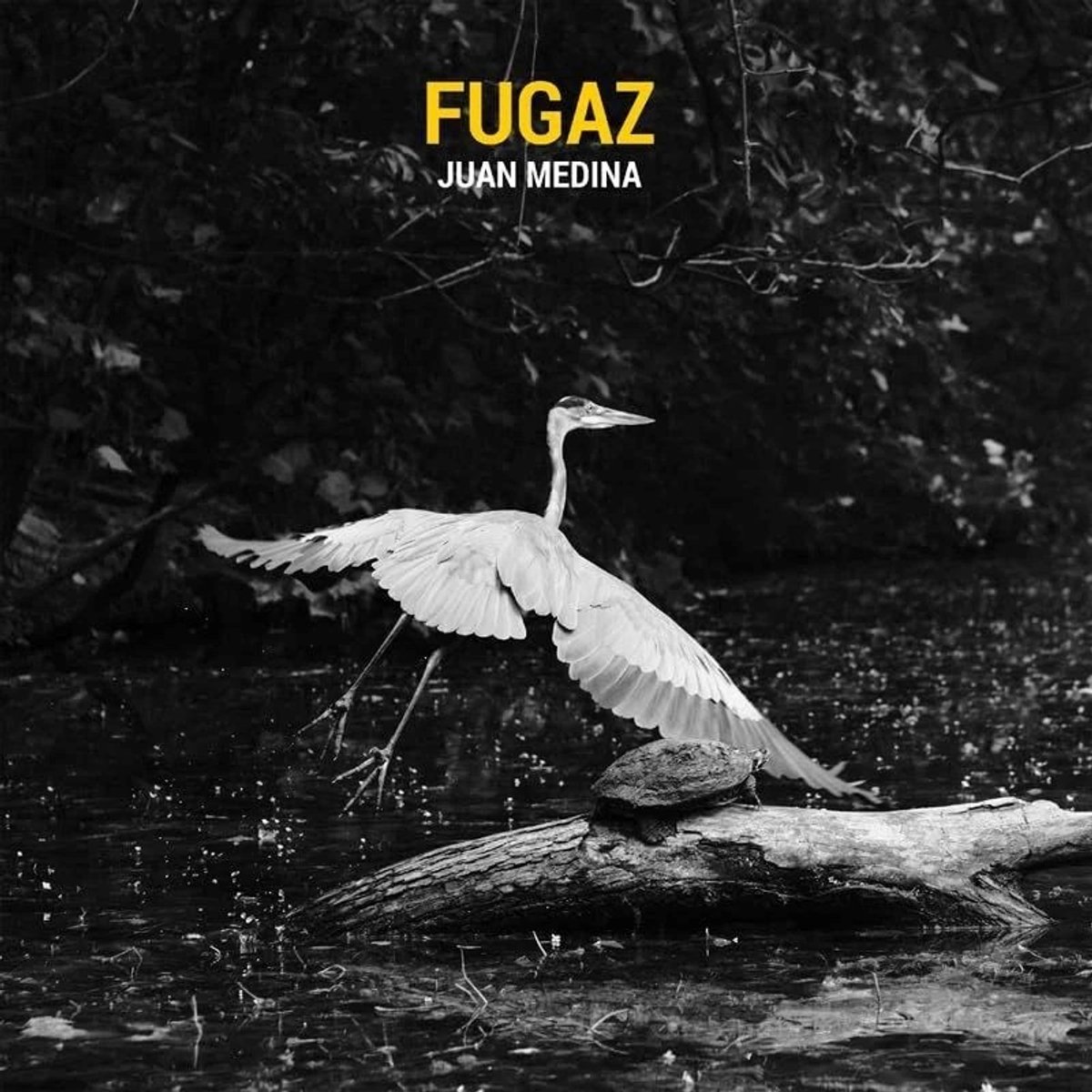 Juan Medina - Fugaz (CD)