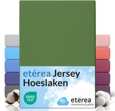 etérea Hoeslaken Jersey 140x200 - 160x200 cm Oekotex Made in Green - 100% coton - Cactus