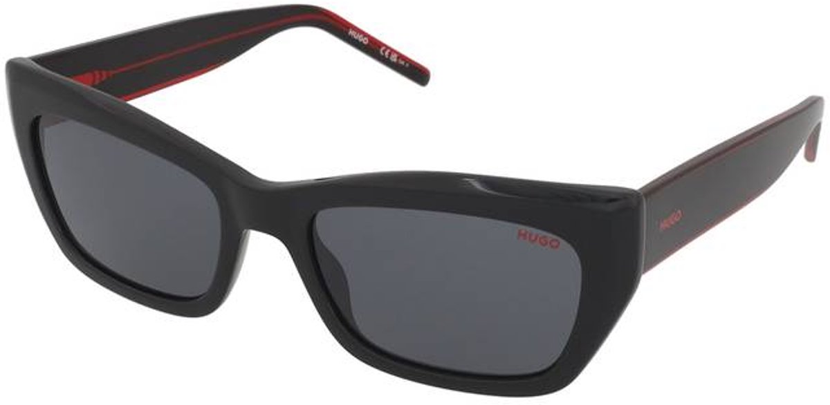 Zonnebrillen Hugo Boss HG 1301/S OIT/IR