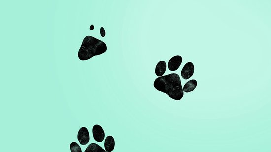 Jake and Jacky Krabkarton voor Katten met Speelballetje - Krabpaal Karton - Krabplank - Krabmand - Krabmeubel - Kartonnen Krabmat - Kattenmand - Kattenbed - 60x26,4x40 cm