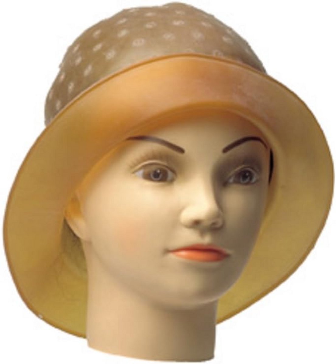 Haarnetjes Kleurkap voor Highlights en Coupes Kleur