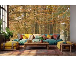 Peel & stick Fotobehang - Fotobehang Herfstwandeling in Betoverd Bos - 250x250 centimeter
