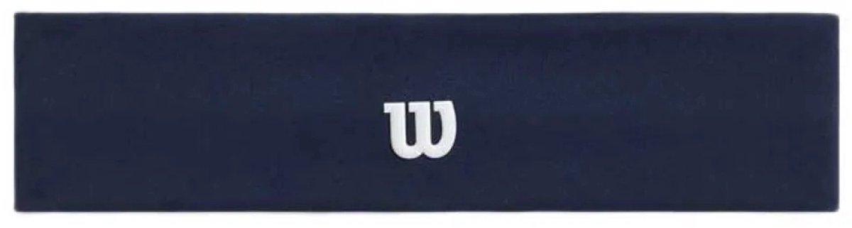Wilson Logo Wide Hoofdband Blauw
