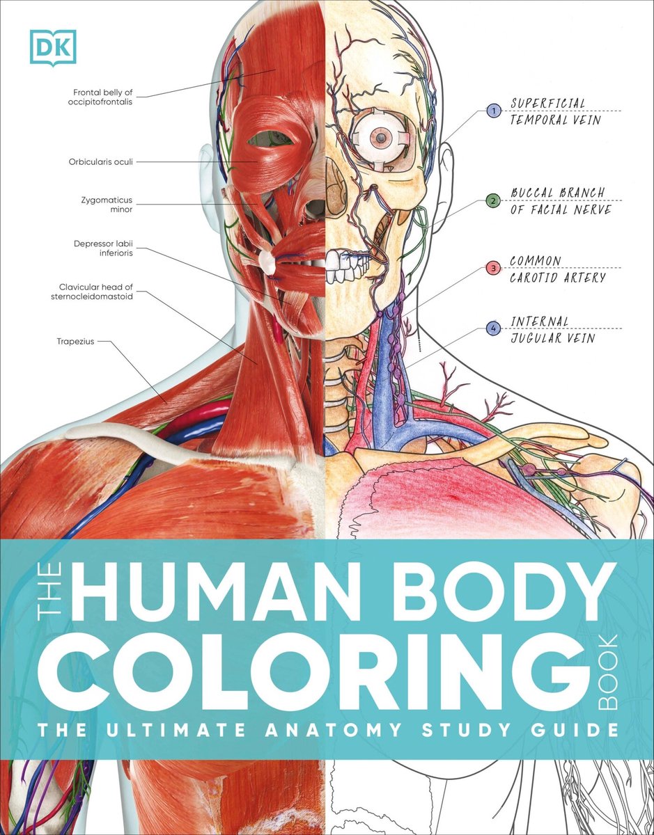 Omslag van The Human Body Coloring Book