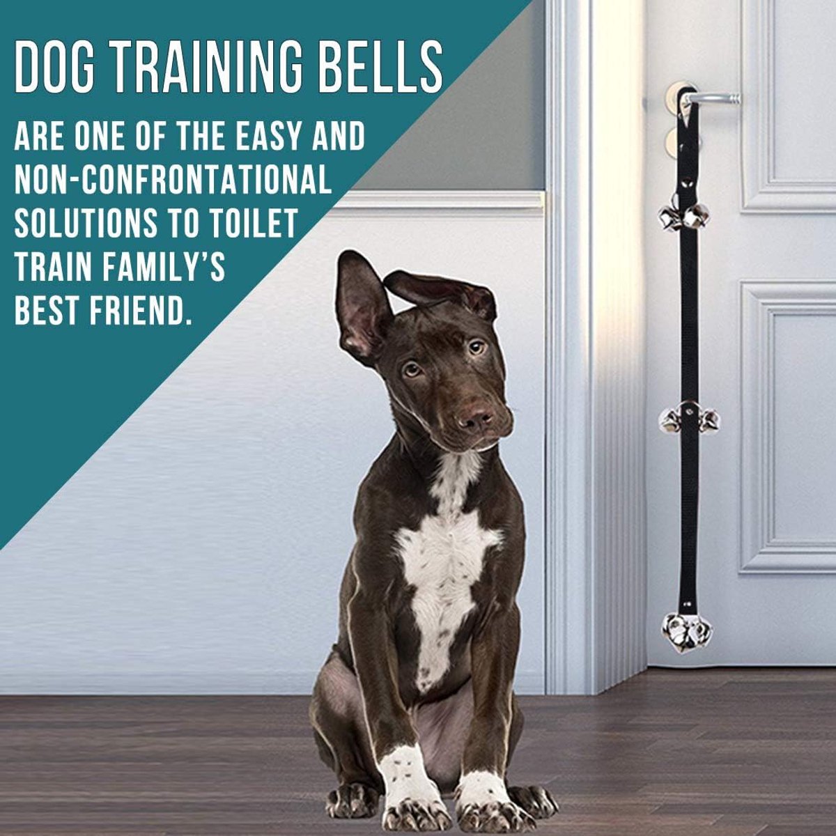 Honden deurbellen - Puppy training bellen - Zindelijkheidstraining huisdier - Verstelbare lengte - 14.7 x 12.6 cm