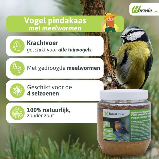 Vogelpindakaas met meelwormen, met afbeelding van een koolmees, tekst en een pot.