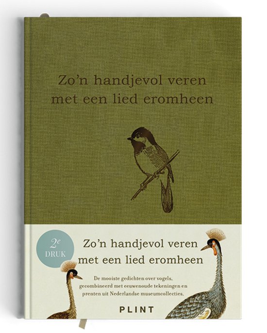 Plint - Zo'n handjevol veren met een lied eromheen - cover
