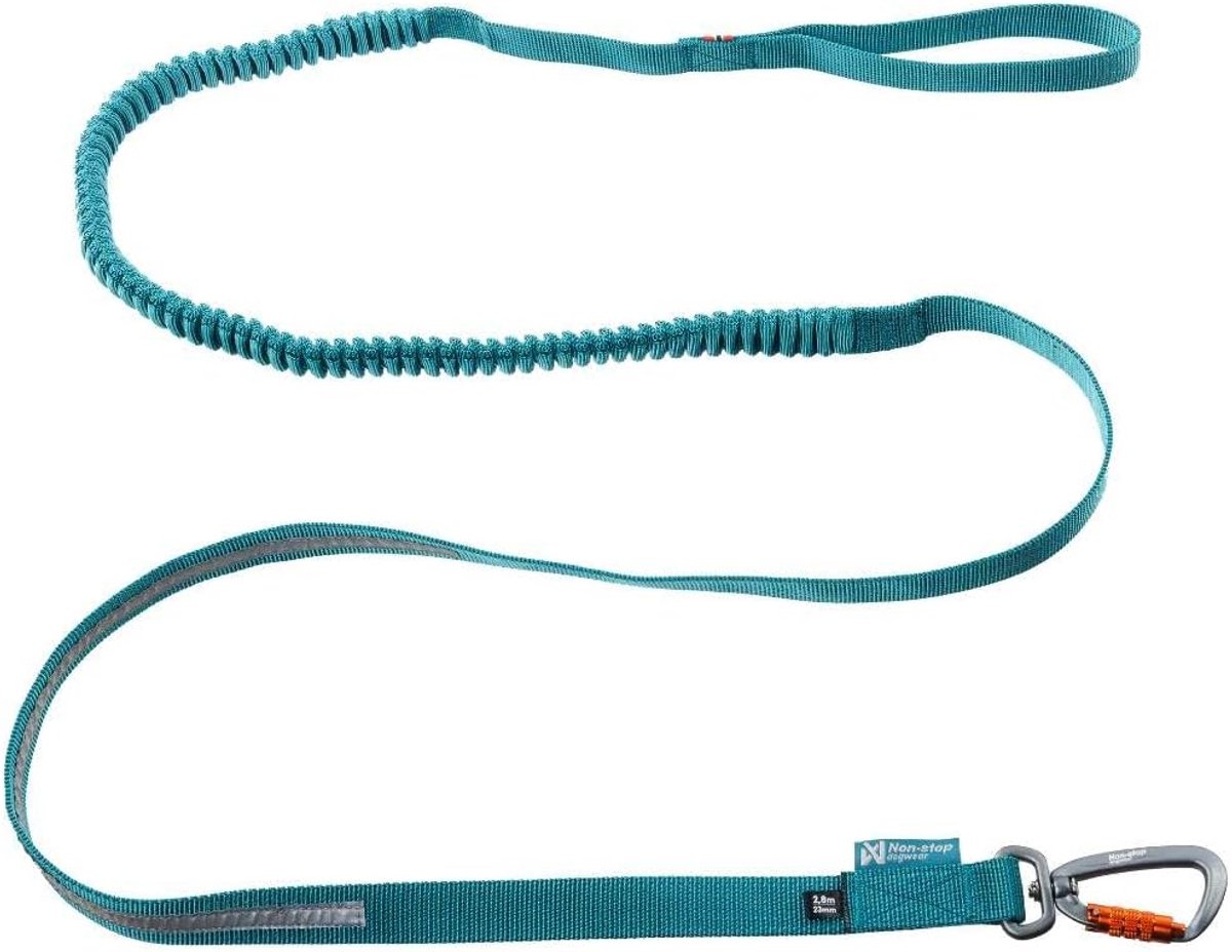Elastische Hondenriem - Bungee Lijn - Wandelen Outdoor - Schokabsorberend Ontwerp - 2.8 Meter - Turkoois