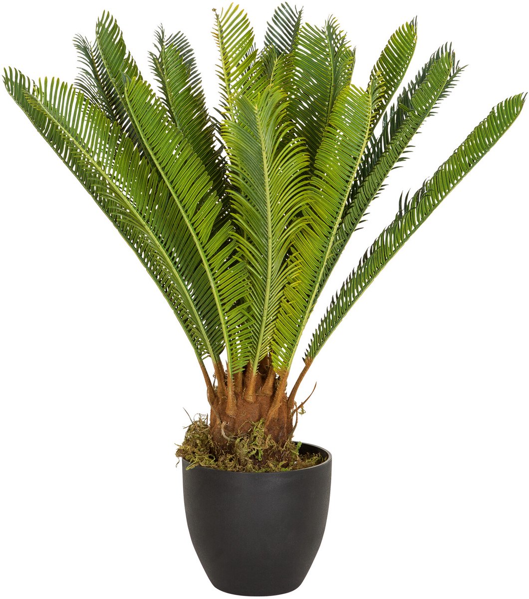 hjh office Kunstplant / Kunst palmboom CYCAS kunststof groen - hjh OFFICE