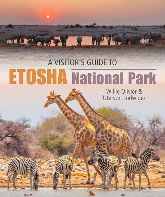 A Visitor’s Guide to Etosha National Park - cover