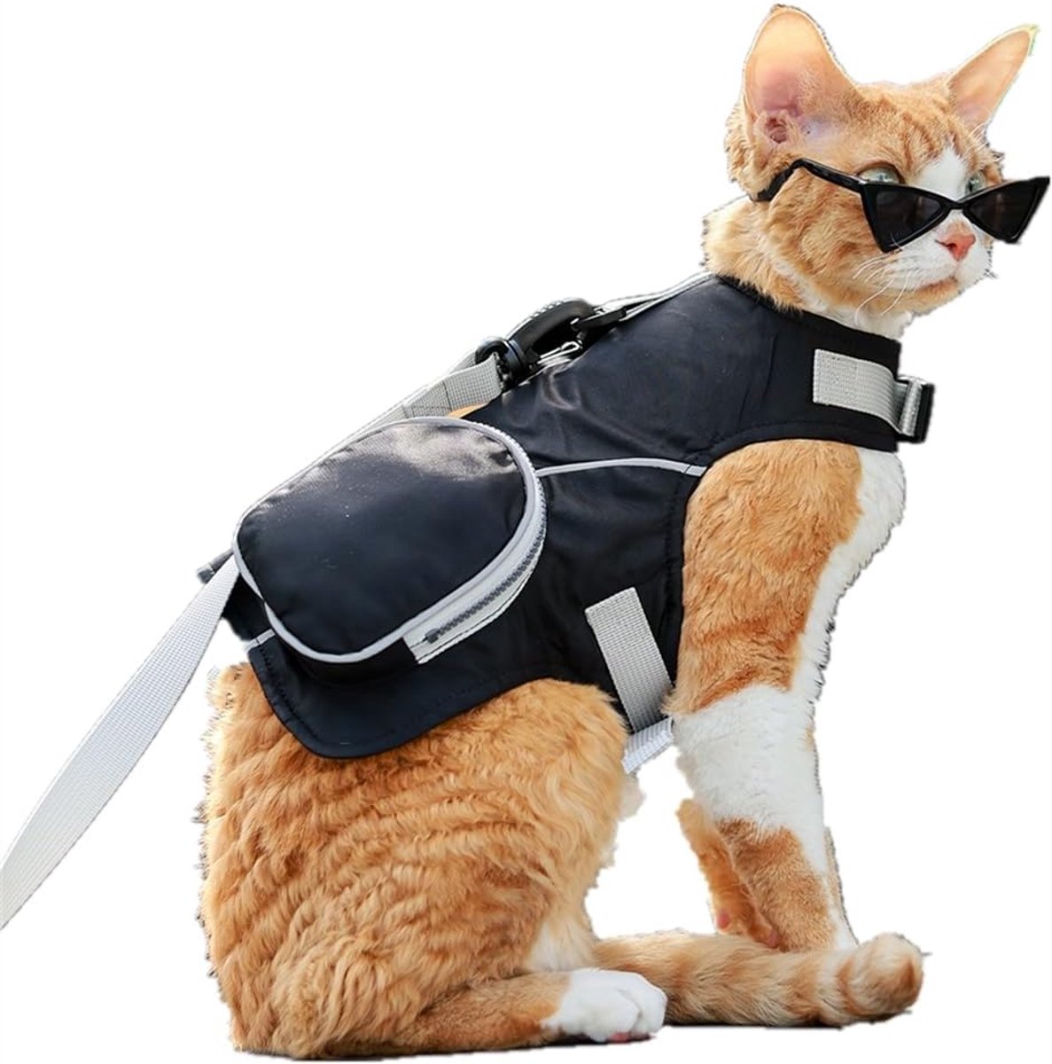 Kat Tuigje - Haarloos Kattenharnas - Outdoor Activiteiten - Verstelbare Pasvorm - Maat L