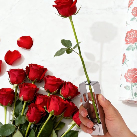 Rozendoorn Verwijderaar - Bloemstengel Reiniger - Bloemstukken Maken - Roestvrij Staal - 2 Stuks - Zilver — afbeelding 5