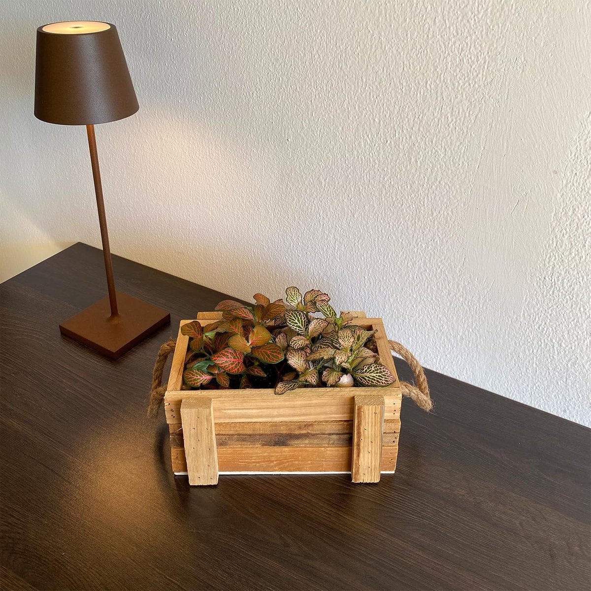 Candala Rechthoekige bloembak van natuurlijk hout met touwgrepen en kunststof coating, afmetingen 26 x 15 x 10 cm, ideaal als balkonbak, plantenbak of plantenbak voor kamerplanten