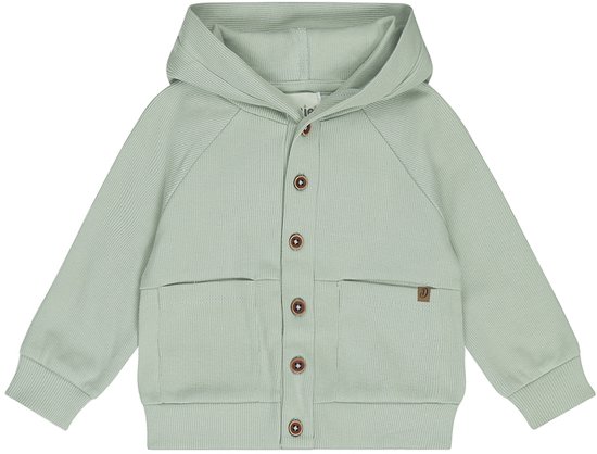 Dirkje Jongens Vest - Soft Sage