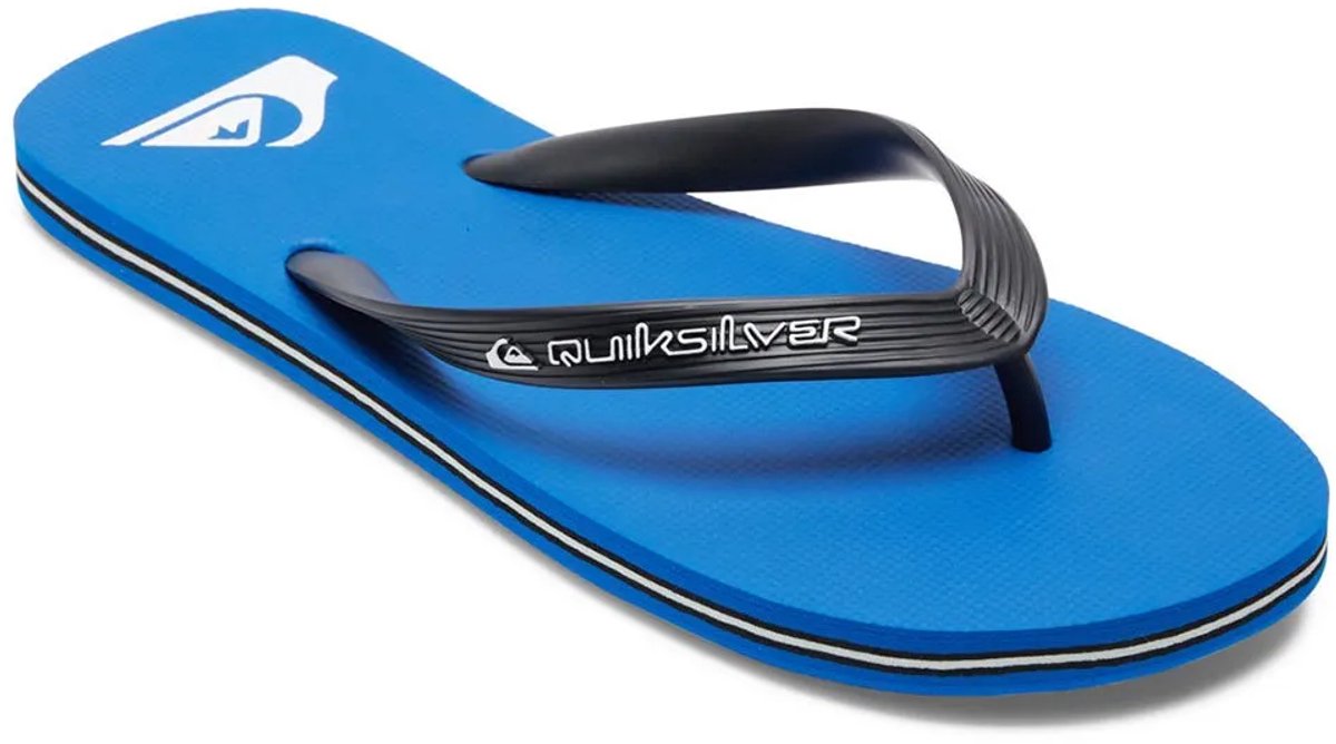 Quiksilver Molokai Core Sandalen Man Blauw
