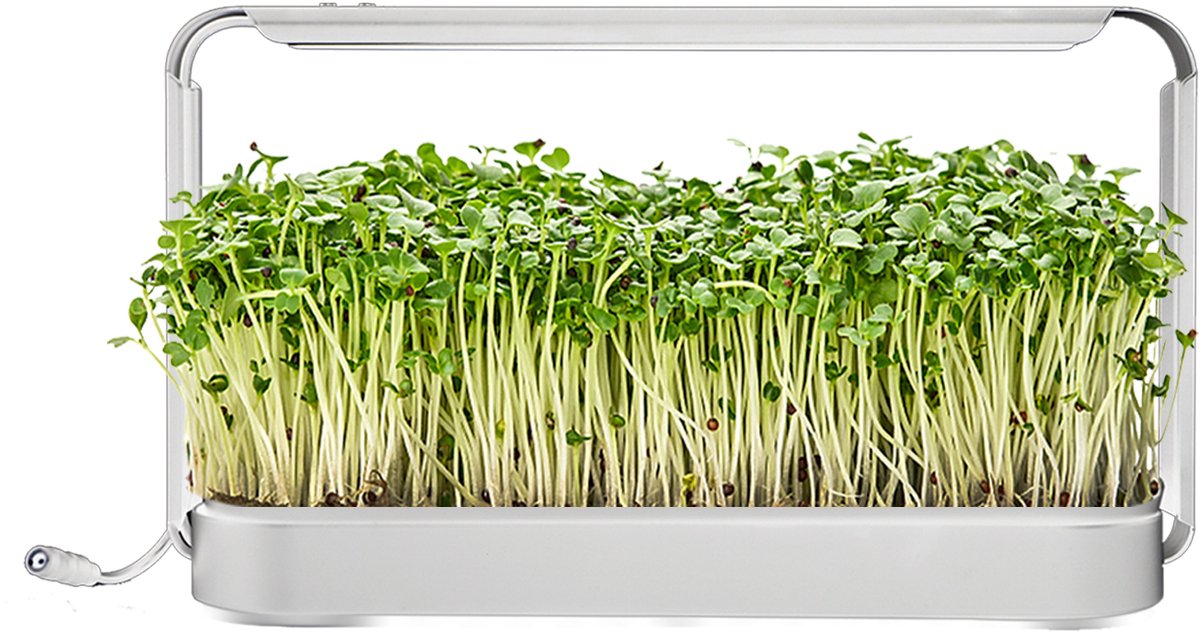 Premium Hydrocultuur Kweeksysteem met LED Groeilicht – Timer & Dimbaar – Wit
