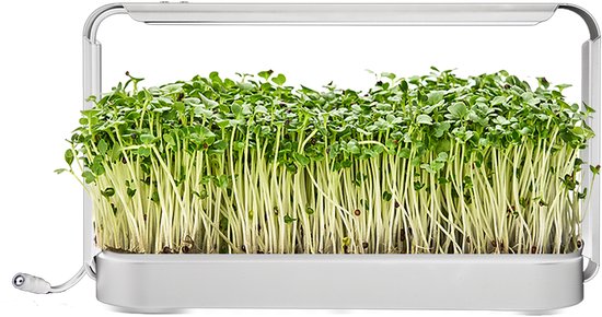 Compacte witte kweekbak met LED-lamp voor microgreens. Vol met groene scheuten en roze stengels.