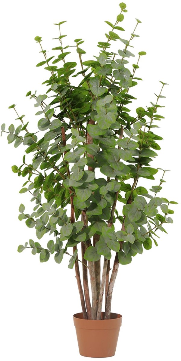Florafy Kunstplant Eucalyptus Groen 120cm - Kunstplanten voor binnen - Onderhoudsvrij