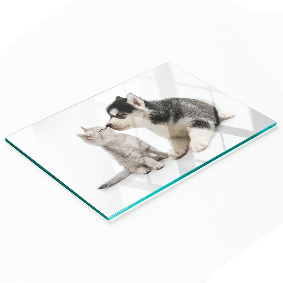 Keukenplank van gehard glas met decoratieve afbeeldingen van een hond en een kat, 80x52 cm