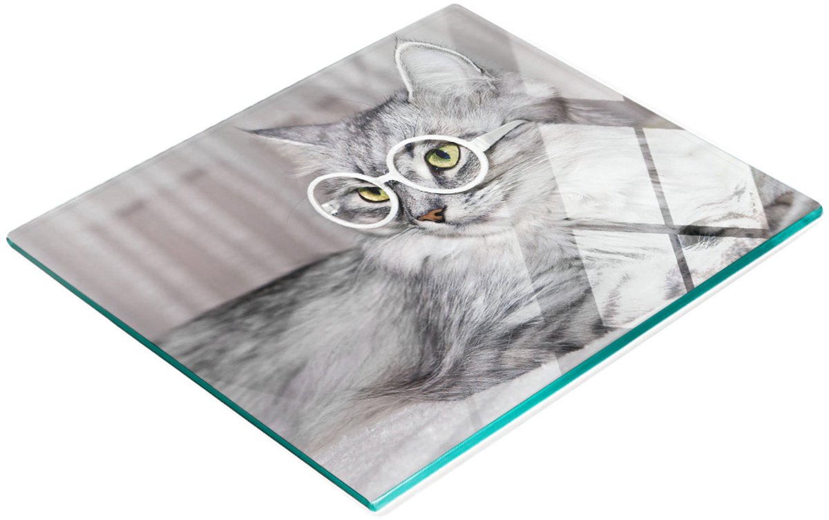Multifunctioneel decoratief glazen keukenbord met kat en bril, 60x52 cm