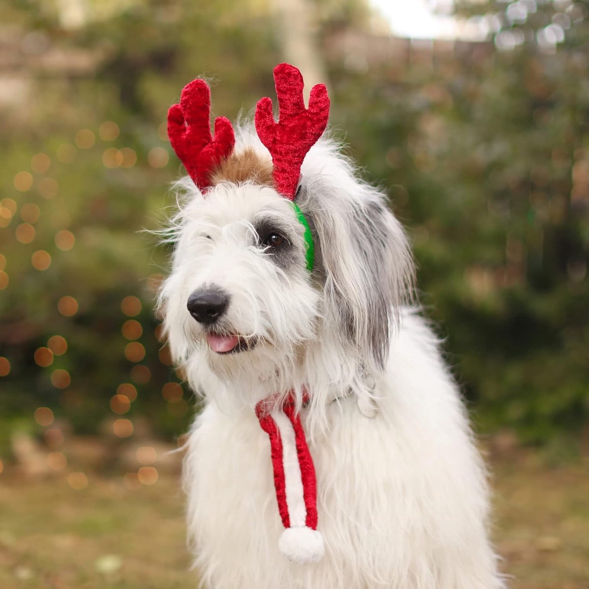 ZippyPaws Holiday Antlers - Honden Accessoire - Kerst Hoofdband Hond - Zacht en Comfortabel - Maat S