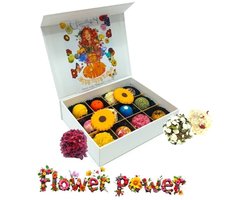 FLOWER POWER-ChocolaDNA-Mix Klein(12 stuks)Chocoladetuffels_Bonbons_Ambachtelijke chocolade_Luxe bonbons_Chocolade cadeau_Geschenkdoos chocolade_Vegan chocolade_Pralines_Truffels_Verjaardag_Moederdag_Vaderdag_Valentijn Bedankt_Vegatarisch