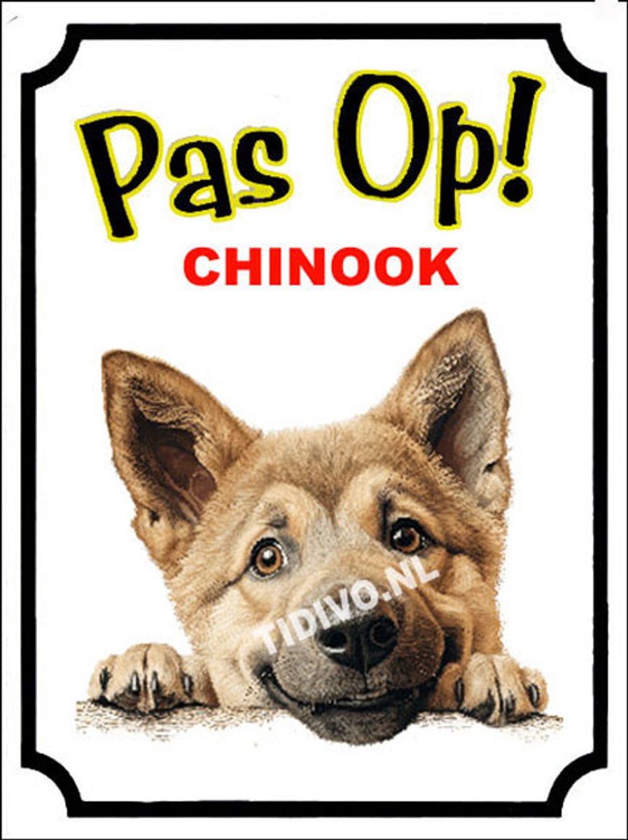 Chinook 16