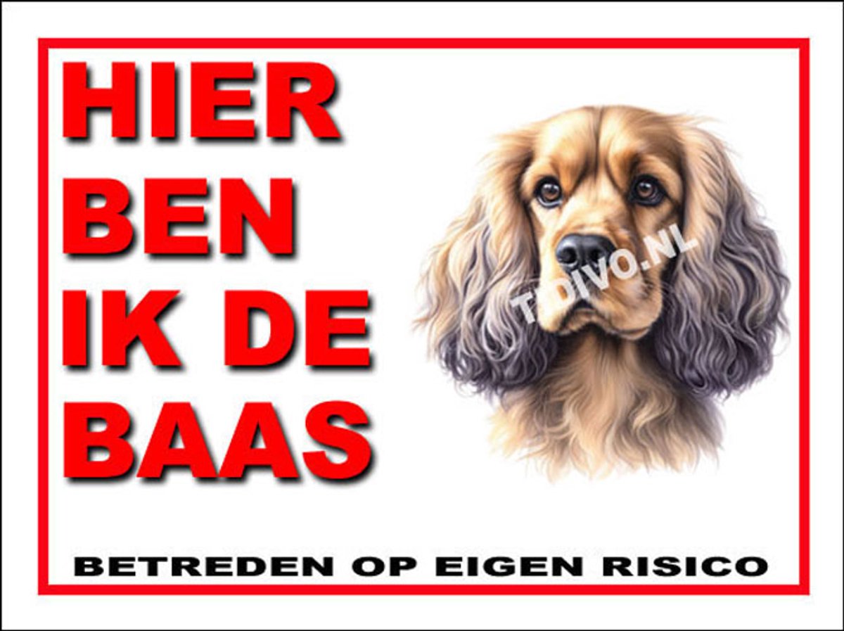 Cocker Spaniel 2