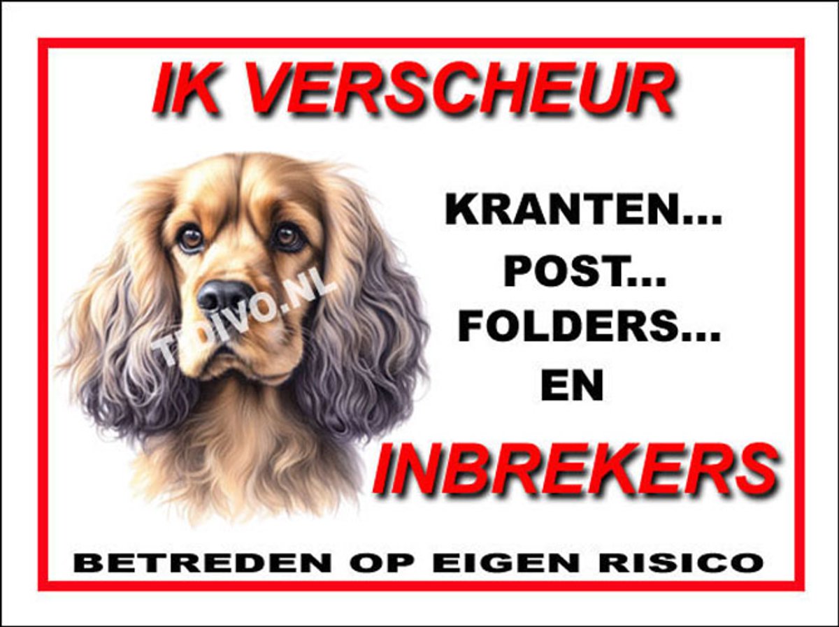 Cocker Spaniel 8