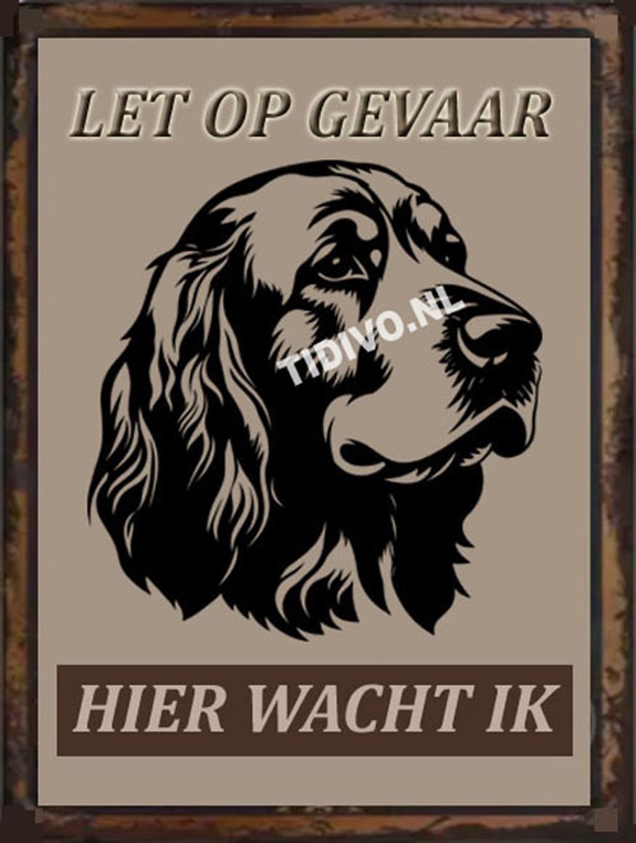 Clumber Spaniel 18