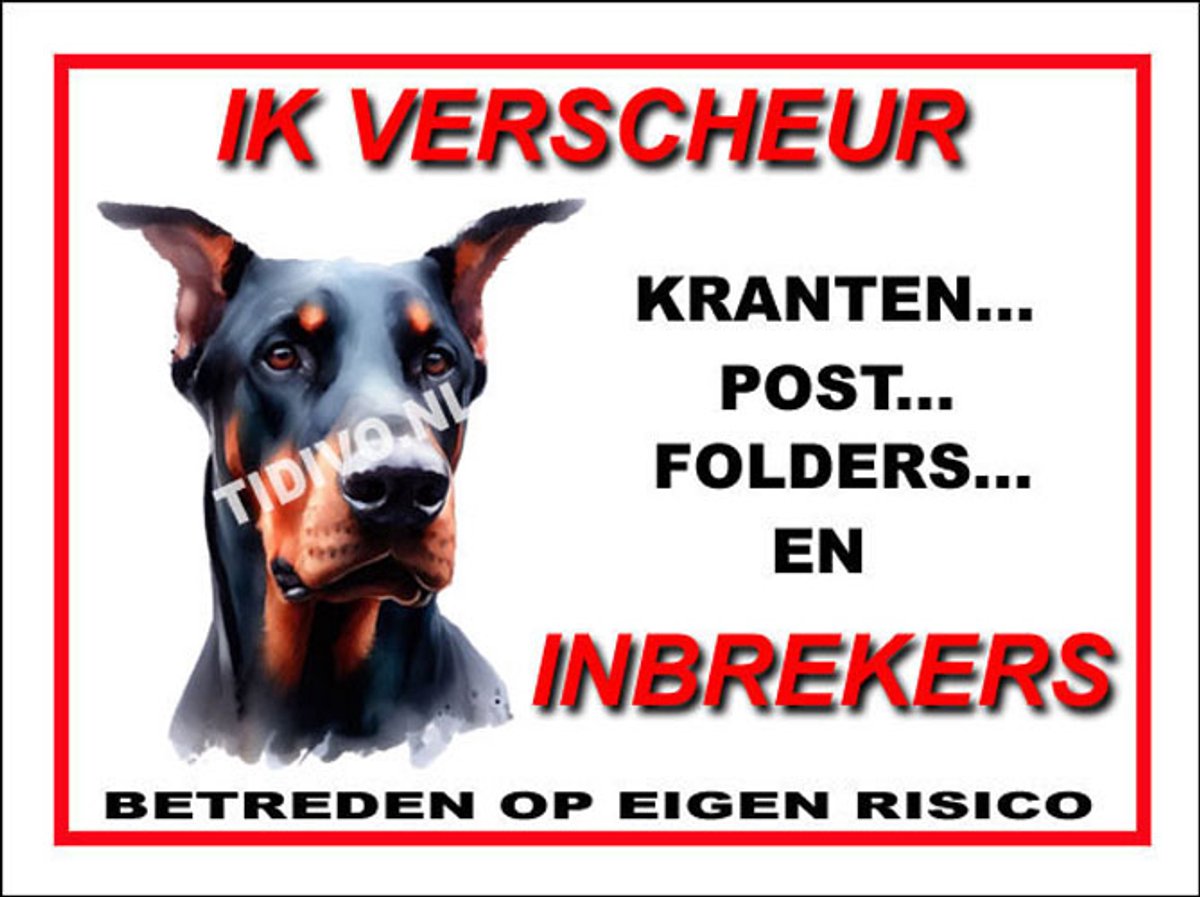 Duitse Dog 8