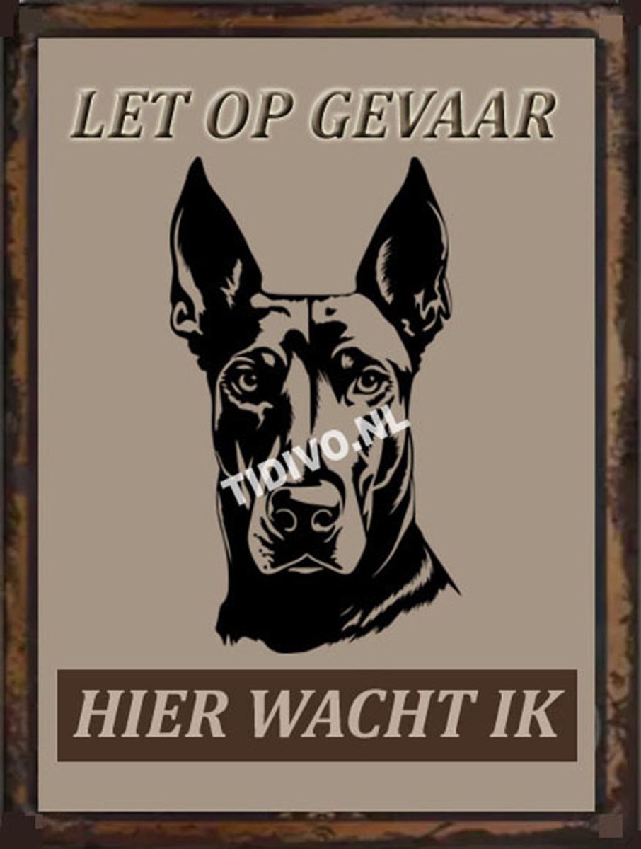 Duitse Dog 18