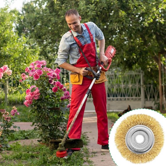 TTGoods - Set van 4 universele onkruidborstels voor bosmaaier - Compatibel met draadborstels - Accessoires voor het verwijderen van onkruid en mos — afbeelding 3