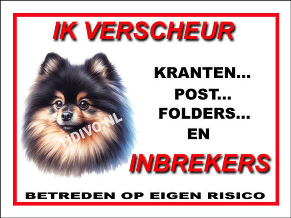 Dwergkeeshond 8