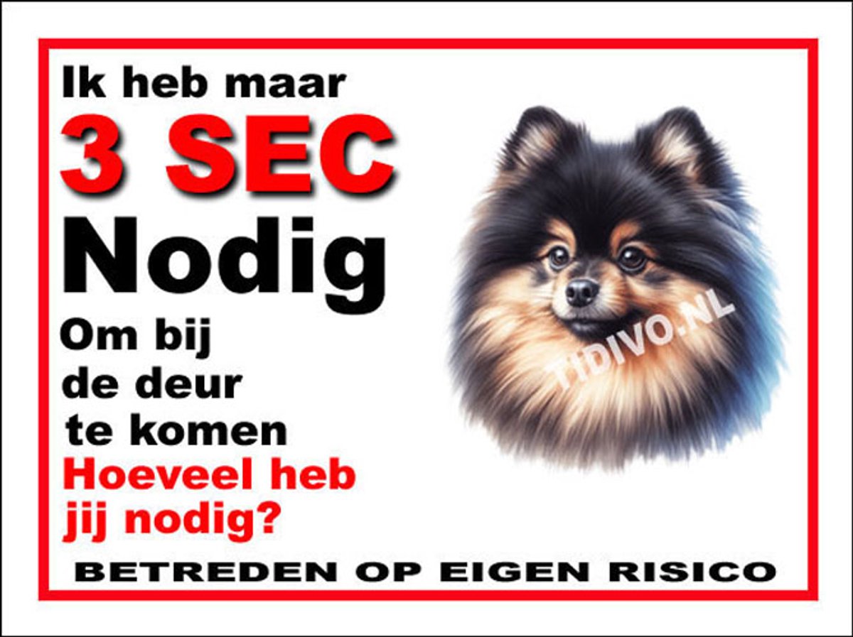 Dwergkeeshond 6
