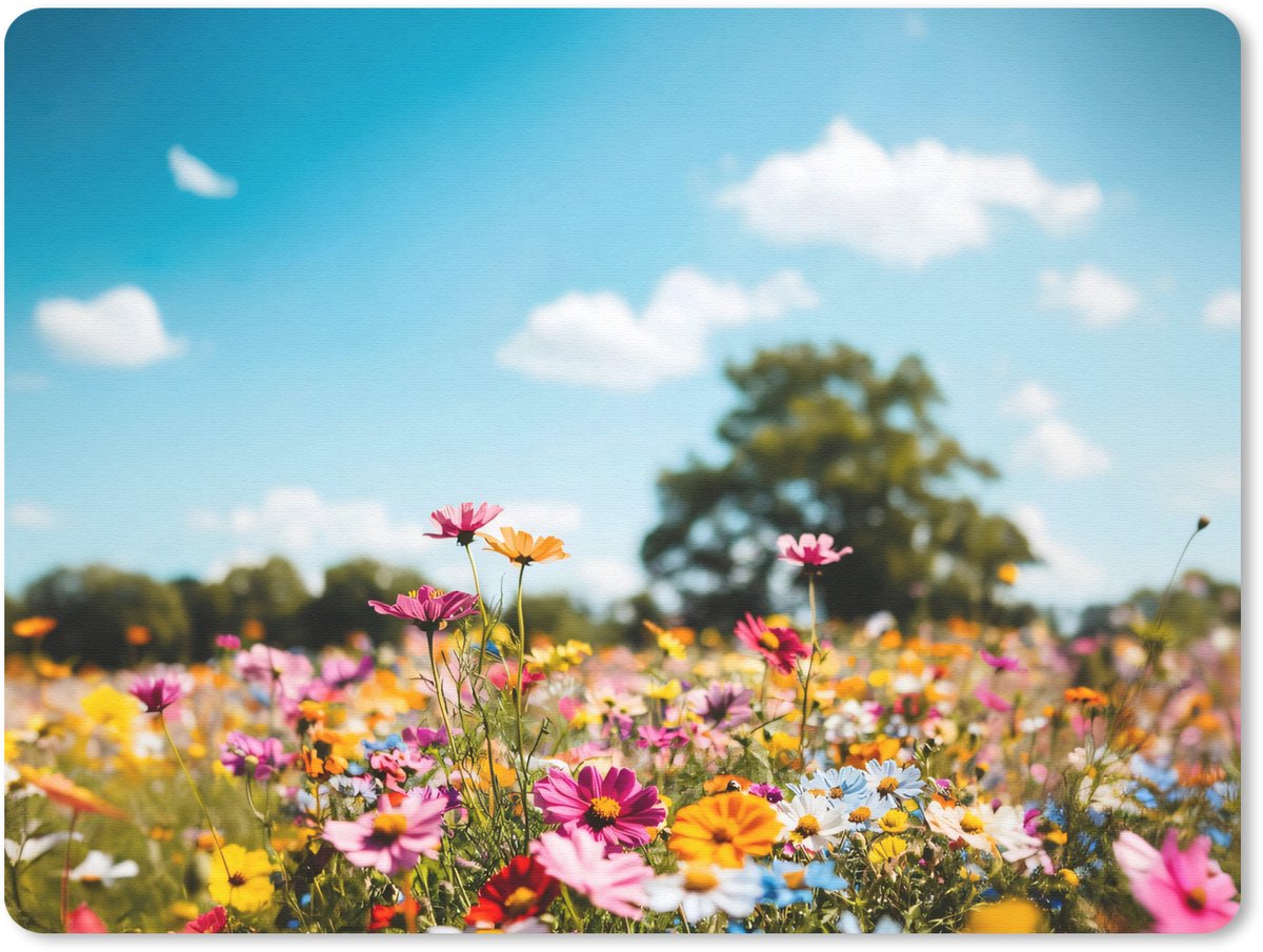 Muismat 23x19 cm - Mousepad Bloemenweide - Blauw - Lucht - Kleuren - Muismatten