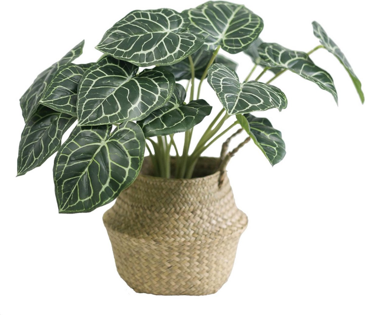 BOG Kristalanthurium Kunstplant - 45 Cm Hoog - Kunstbloem In Pot - Decoratieve Nepplant Voor Woonkamer - Slaapkamer - Vensterbank - Kastdecoratie BRUIN GROEN