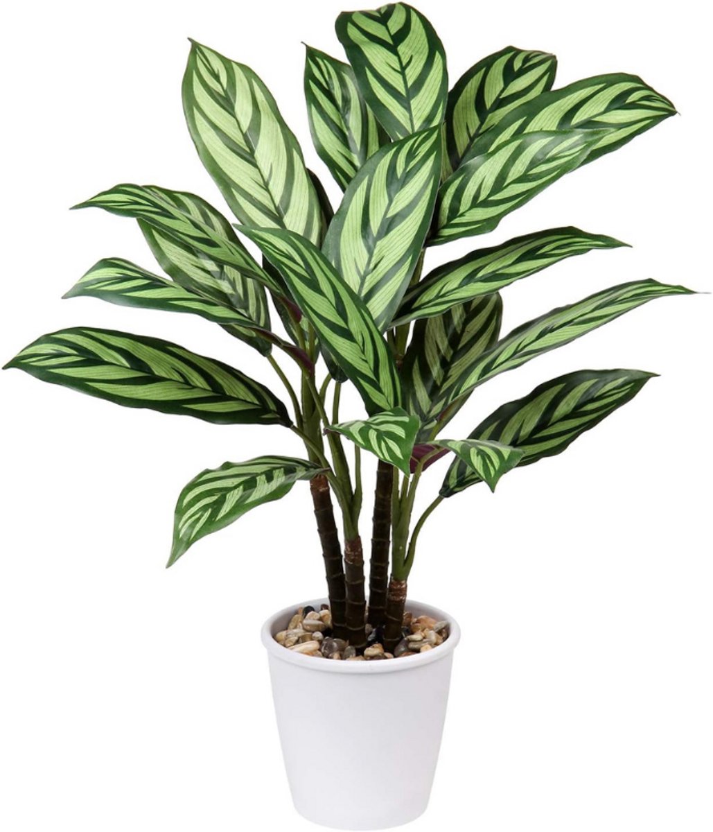 BOG Kunstplant Calathea Majestica Exotica - 63 cm Grote Kunstplant Met Pot - Indoor Outdoor Decoratie - Moderne Decoratie - Badkamer - Woonkamer - Slaapkamer - Balkon WIT GROEN
